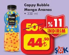 CAPPY BUBBLE MANGO ANANAS MEYVE SUYU 330 ML fiyat ve kampanya bilgisi